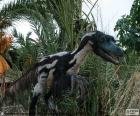 Il Velociraptor è uno dei dinosauri più famosi, che potrebbe raggiungere fino a 1,8 metri di altezza e pesava circa 15 kg, ma la sua caratteristica principale è che aveva le piume