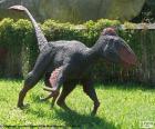 L'Utahraptor, aveva grandi artigli di quasi 30 centimetri che ha fatto un temibile predatore