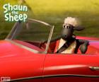 La pecora Shaun conduce un'automobile convertibile rossa