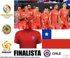 Cile, seconda finalista della Copa America Centenario 2016, dopo aver battuto la Colombia