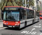 Autobus urbano di Barcellona