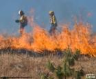 Due vigili del fuoco, fuoco