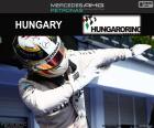 Lewis Hamilton festeggia la sua quinta vittoria della stagione nel Gran Premio di Ungheria 2016
