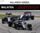 Fernando Alonso, settimo posto nel Gran Premio della Malesia 2016, con la sua McLaren