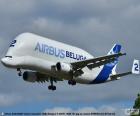 L'Airbus A300-600ST Beluga è un aereo cargo, specializzata in carichi di grandi dimensioni