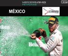 Lewis Hamilton celebra la sua ottava vittoria della stagione il Gran Premio del Messico 2016