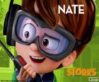 Nate, Cicogne in missione