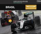Nico Rosberg, GP Brasile 2016