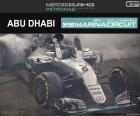 Nico Rosberg, secondo nel Gran Premio di Abu Dhabi 2016, con la sua Red Bull. Vincitore del campionato all'ultima gara