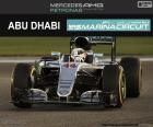 Lewis Hamilton, GP Abu Dhabi 16