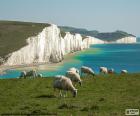 Le scogliere Seven Sisters, situate nel canale della Manica, nell'East Sussex, Inghilterra