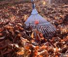 Rastrellare raccogliere foglie durante l'autunno