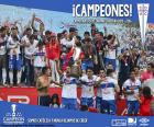 Universidad Católica, campione del 2016