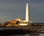 Il faro di St. Mary si trova sulla piccola isola di St Mary, Inghilterra