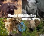 Giornata mondiale della fauna selvatica