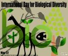 Giornata internazionale per la diversità biologica, 22 maggio. Per informare e sensibilizzare l'opinione pubblica tra la popolazione e per gli stati in materia di biodiversità