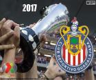 Il Club Deportivo Guadalajara, noto come Chivas, è il campione del torneo Clausura 2017, del campionato MX relativo titolo XII