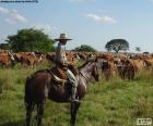 Gaucho a cavallo