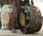 Tamburi africani
