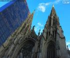 Cattedrale di San Patrizio a New York City è la Cattedrale cattolica in stile neo-gotico più grande del Nord America. È dedicato al patrono dell'Irlanda