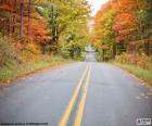 Una strada nel paesaggio di autunno