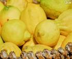 Un cesto pieno di limoni. Limoni contengono sostanze nutritive e vitamine molto benefiche per il nostro corpo