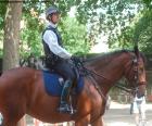 Polizia di Londra a cavallo