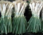 I calçots sono una varietà di cipolle consumato in Catalogna