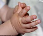 Mani del bambino