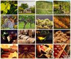 Collage di vino