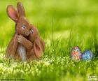 Conigli di Pasqua abbracciato