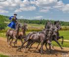 Puszta-ötös è una famosa attrazione turistica a Hortobágy, Ungheria. Un cavaliere a cavallo su due cavalli e conduce altri tre cavalli