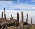 Salar de Uyuni, Bolivia