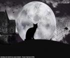 Notte di Halloween