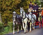 Bella carrozza trainata da quattro cavalli