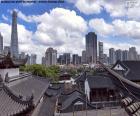 Shanghai è la città più grande della Cina ed una delle più popolate del mondo con più di 24 milioni di abitanti