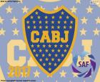 Boca Juniors, campione 2016-2017