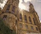 Dettaglio del Castello di Hohenzollern, Germania