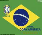 Brasile, campione Copa America 2019