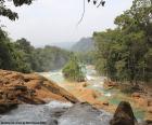 Le bellissime cascate di Agua Azul, Chiapas, Messico