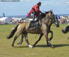 Cavaliere che esegue acrobazie mentre cavalca un cavallo