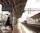 Una donna seduta in attesa dell'arrivo del suo treno, sull'altra banchina un treno in partenza