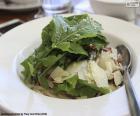 Insalate di foglie verdi