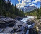 Un fiume di acque bianche in uno spettacolare paesaggio montano