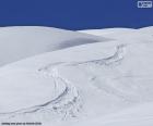 Piste da sci sulla neve