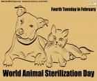 Giornata mondiale della sterilizzazione animale