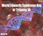 Giornata mondiale della sindrome di Edwards o trisomia 18