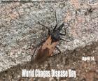 Giornata mondiale della malattia di Chagas