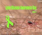 Giornata mondiale della malattia di Lyme