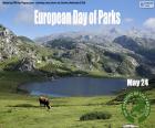 Giornata europea dei parchi naturali